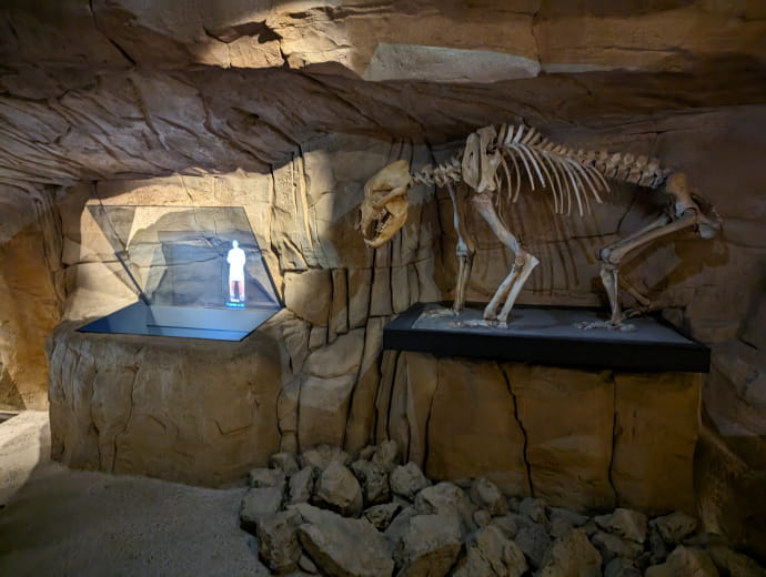 Musée de l'ours des cavernes