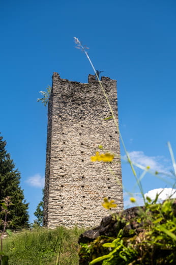 Tour de Montmayeur