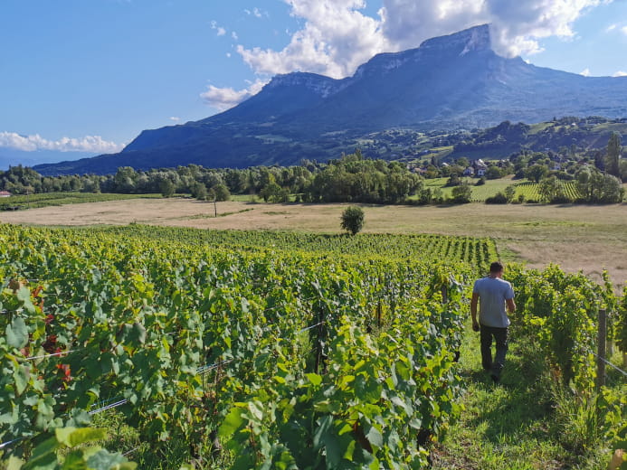 Domaine des Granges Longes