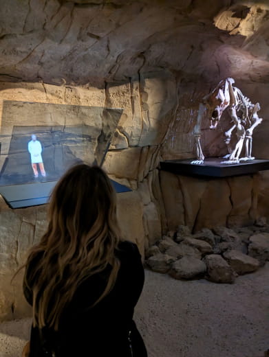 Musée de l'ours des cavernes