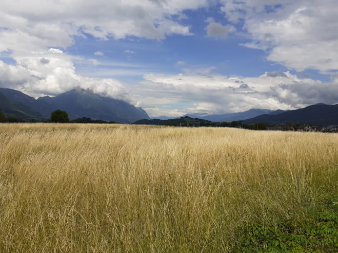 Boucle cyclo : Circuit du Val Coisin