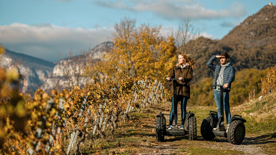 Balade en Segway dans les vignobles et dégustation