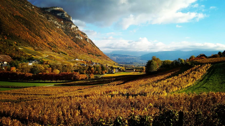 Domaine La Gerbelle - Chignin