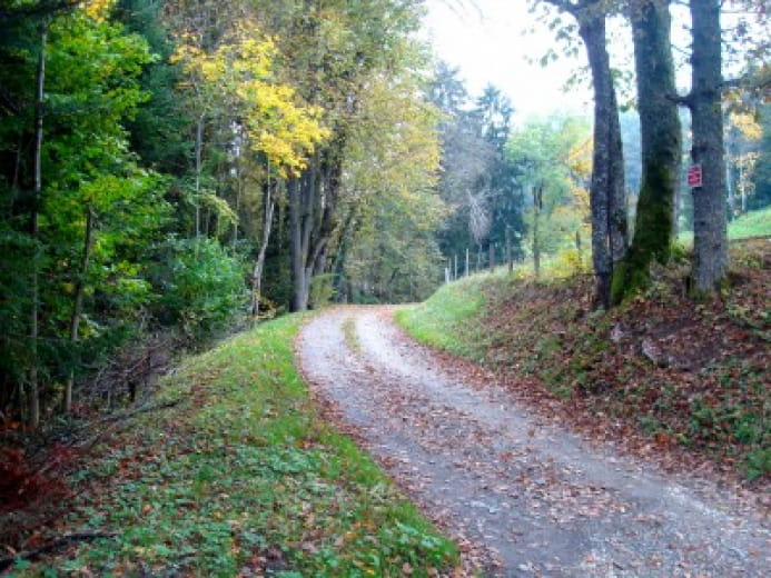 Circuit des granges