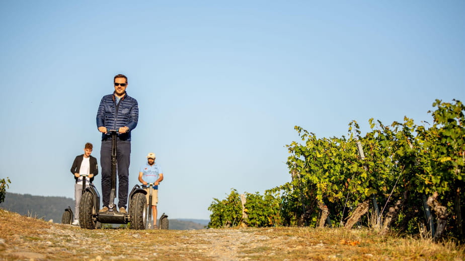 Balade en Segway dans les vignobles et dégustation