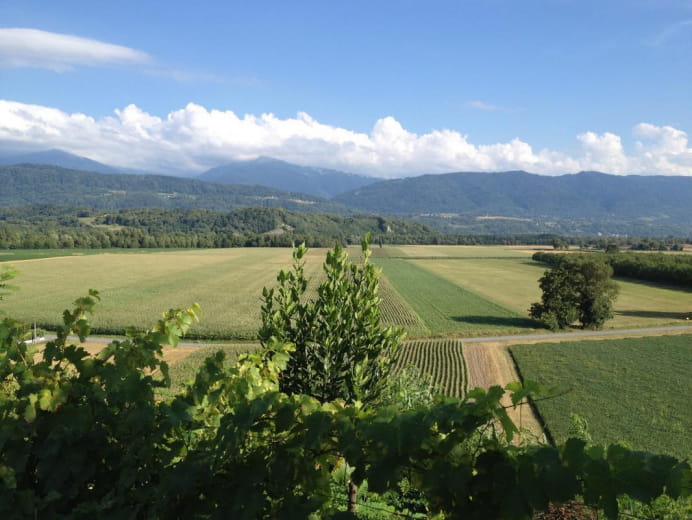 Vue depuis le jardin