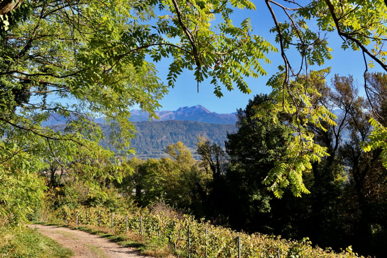 Vue sur Belledonne